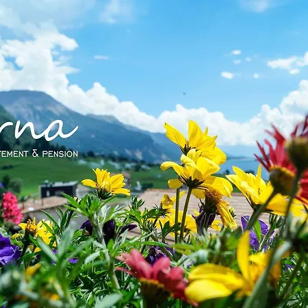 Pension Apartment Erna-3